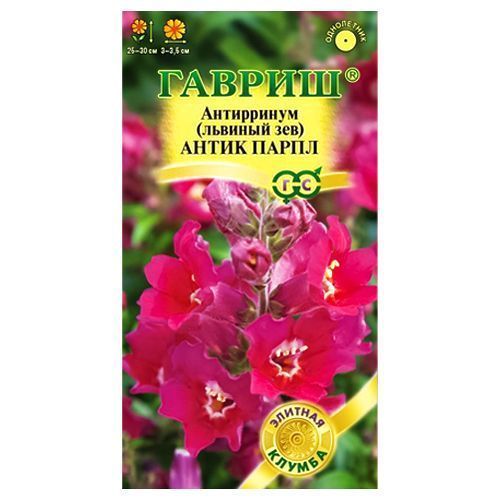 ������ ������ ���������� ����� ����� ������   ����