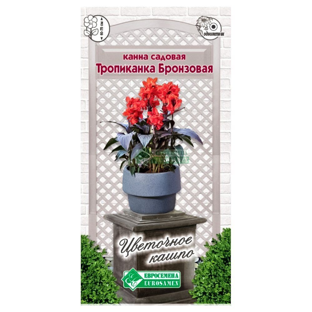 ������ ������ ����� ���������� ��������� ����������   ����