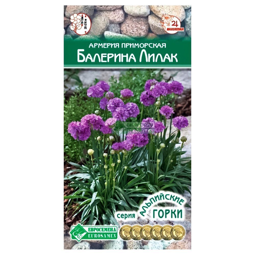 ������ ������ ������� ���������� �������� ����� ����������   ����