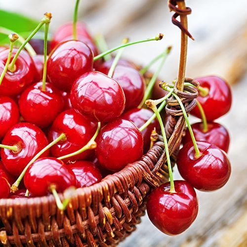 ������ ������ ����� ���� ����   ����