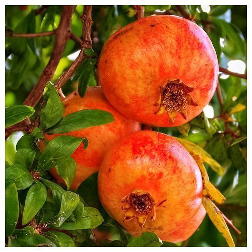 ������ ������ ������ ��������� ������   ����