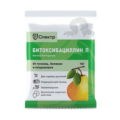 ������ ������ ������ - ���������������, �� ��������� ���������� 10 �   ����