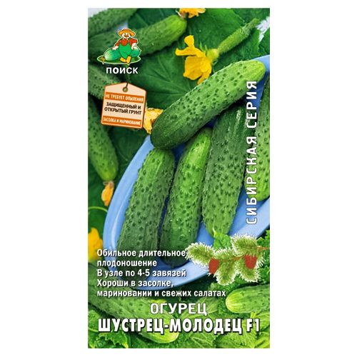 ������ ������ ������ �������-������� F1 �����   ����