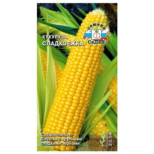 ������ ������ �������� ���������� �����   ����