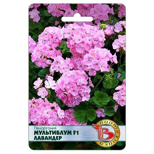 ������ ������ ���������� (������) ���������� F1 �������� ����������   ����