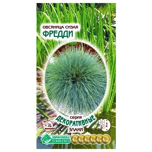 ������ ������ �������� ����� ������ ����������   ����