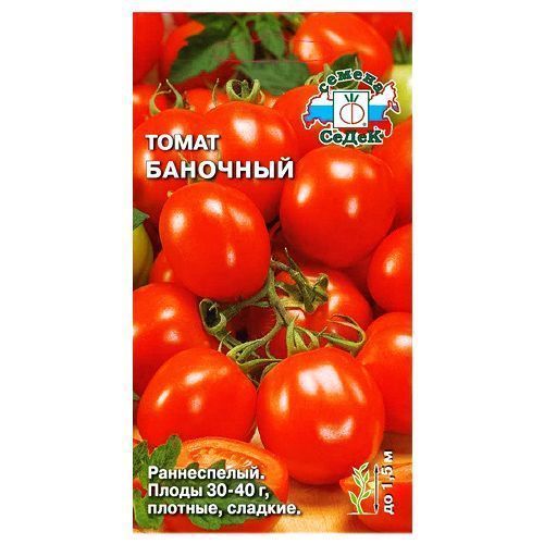 ������ ������ ����� �������� �����   ����