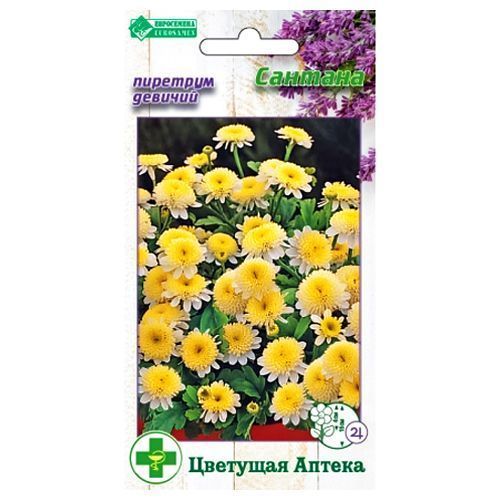 ������ ������ �������� ������� ������� ����������   ����