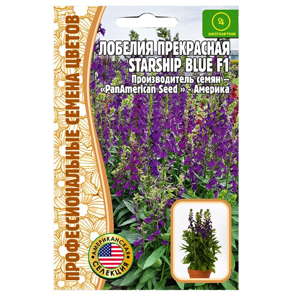 ������ ������ ������� ���������� Starship Blue ������ ������   ����