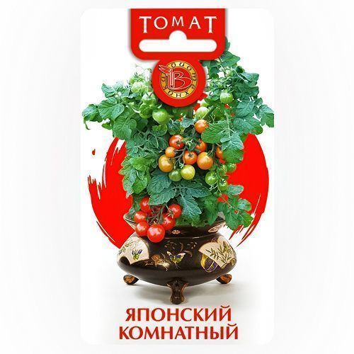 ������ ������ ����� �������� ��������� ����������   ����