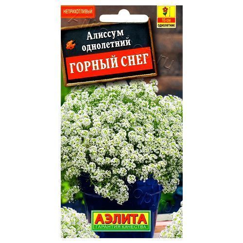 ������ ������ ������� ������ ���� ������   ����