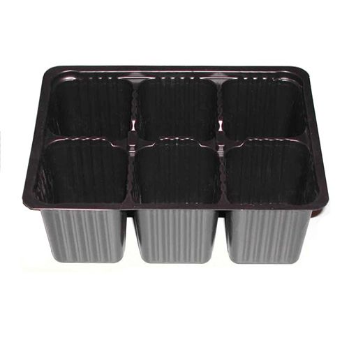 ������ ������ ���� ������� ��� ������� 6 �����   ����