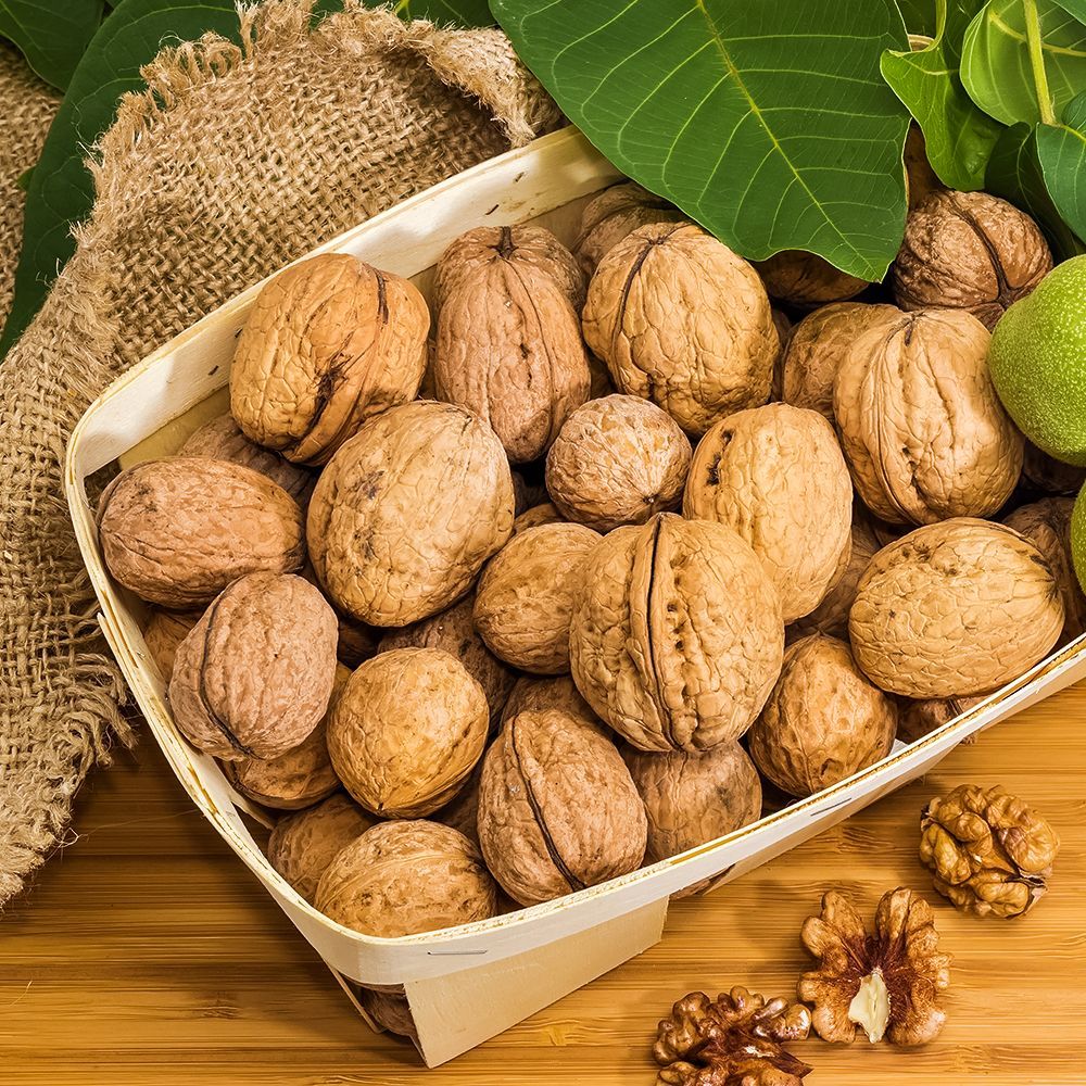 ������ ������ ���� ������� ���������� ��� ������ �����������   ����