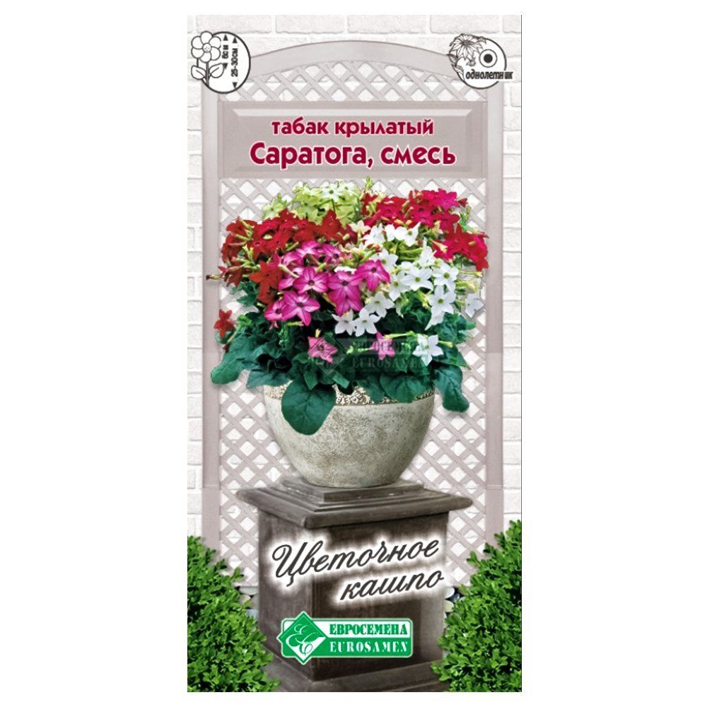 ������ ������ ����� �������� ��������, ����� ������� ����������   ����