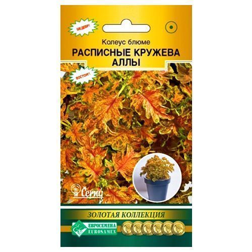 ������ ������ ������ ����� ��������� ������� ���� ����������   ����