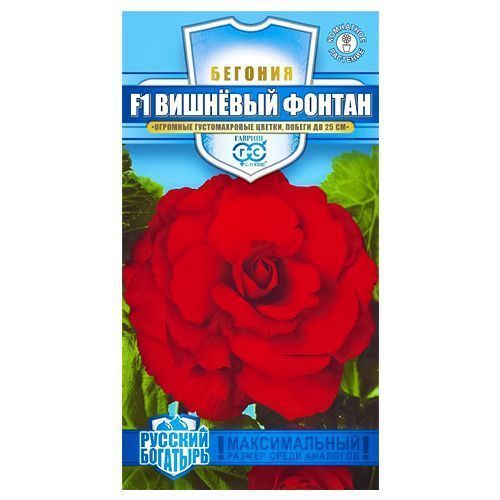 ������ ������ ������� �������� ������ F1 ������   ����