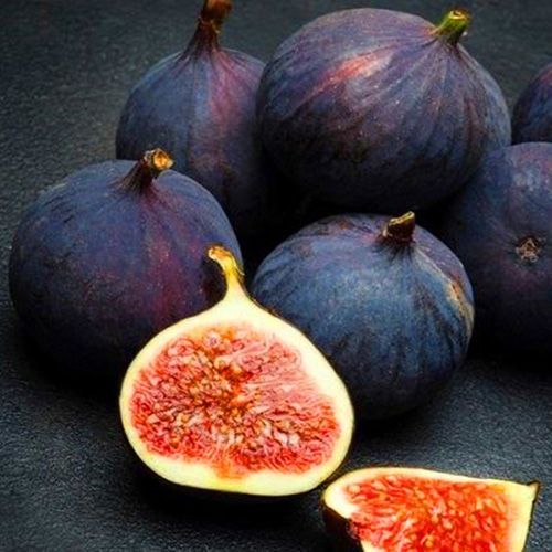 ������ ������ ����� ������ �����   ����