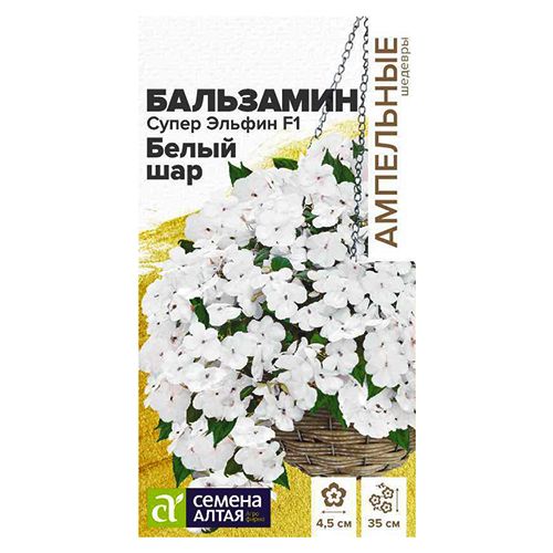 ������ ������ ��������� ��������� ����� ������ ����� ��� F1 ������ �����   ����