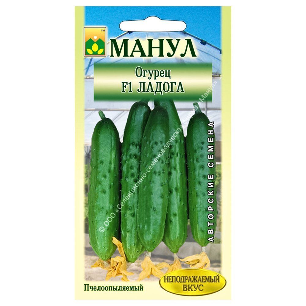 ������ ������ ������ ������ F1 �����   ����