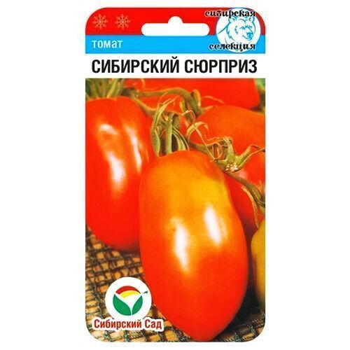 ������ ������ ����� ��������� ������� ��������� ���   ����