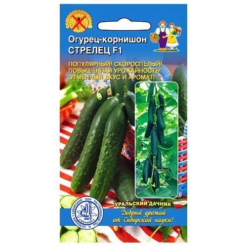 ������ ������ ������ �������� ������� F1 ��������� ������   ����