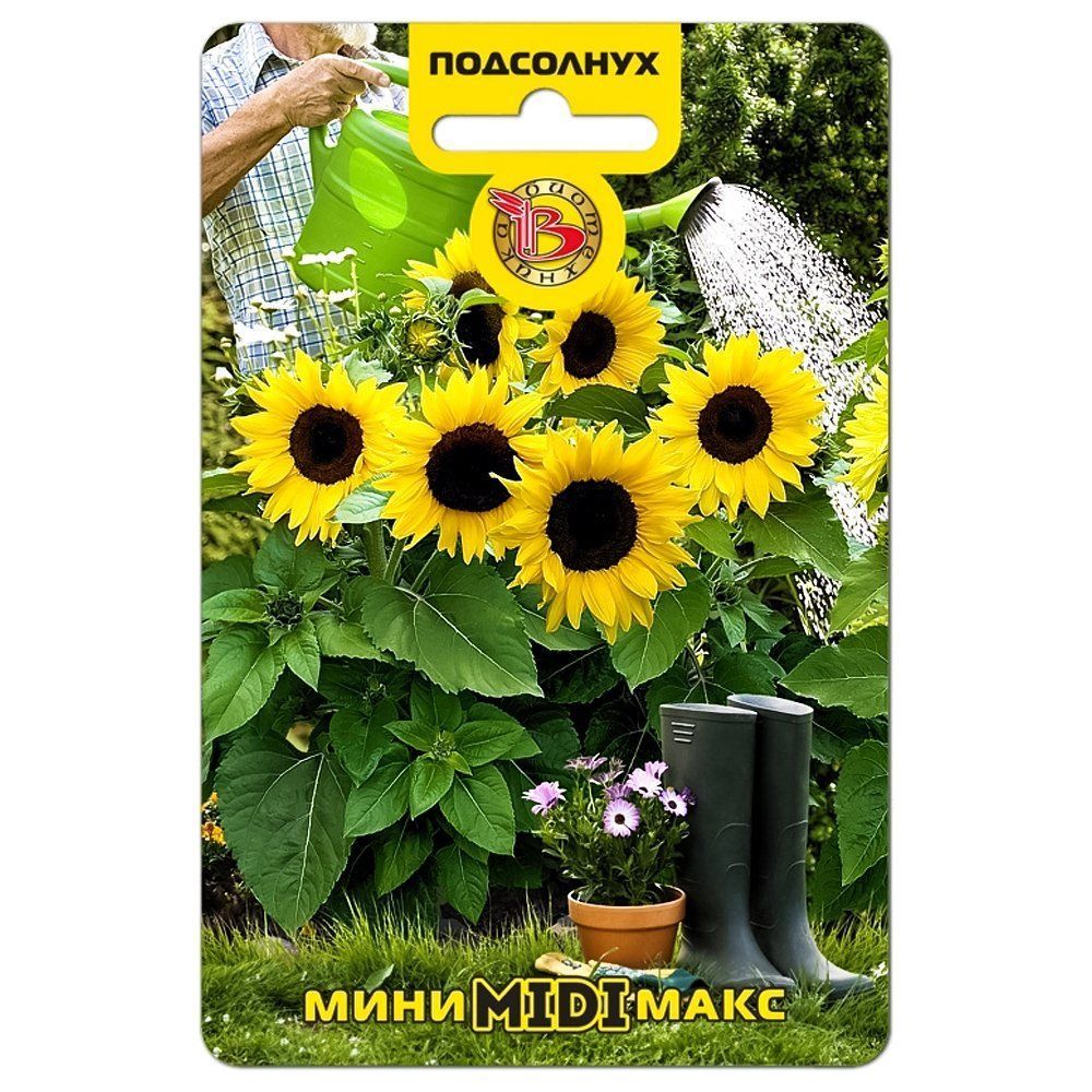 ������ ������ ��������� ��������� ����-���� �idi F1 ����������   ����