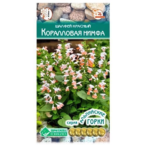 ������ ������ ������ ������� ������� ���������� ����� ����������   ����