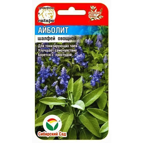 ������ ������ ������ ������� ��������� ���   ����