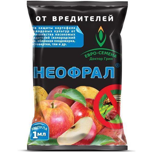 ������ ������ ������ ���� �������, �� ��������� ���������� 1 ��   ����