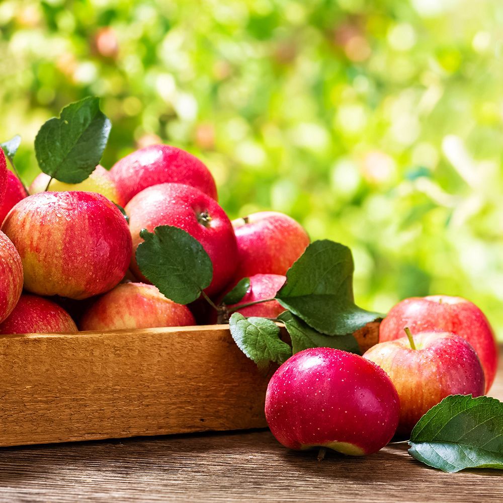 ������ ������ ������ ��� �������� ������� ����� �����������   ����