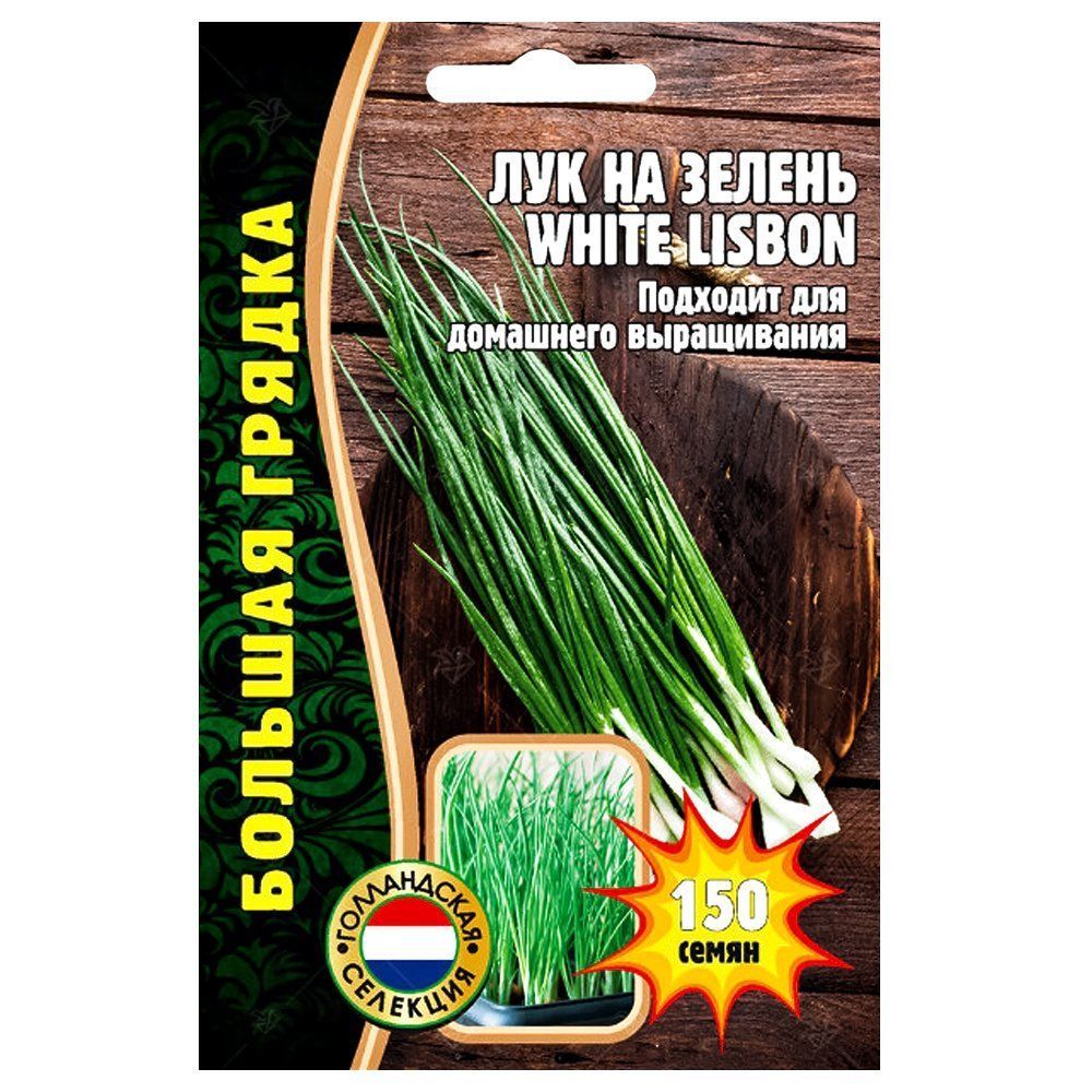 ������ ������ ��� �� ������ White Lisbon ������ ������   ����