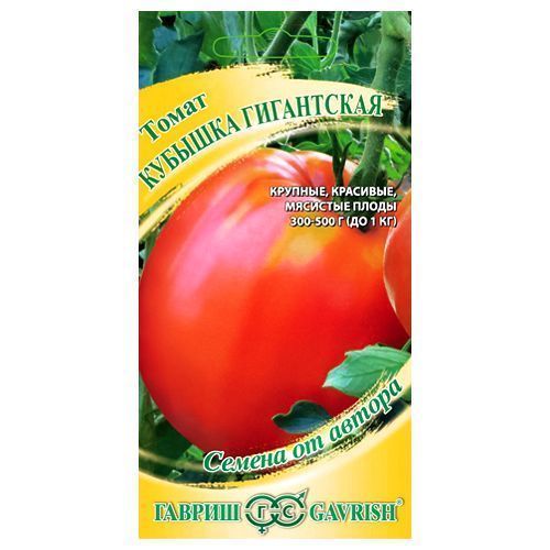 ������ ������ ����� ������� ���������� ������   ����