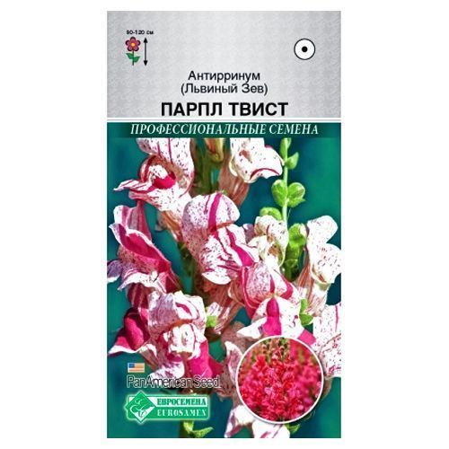 ������ ������ ������� ��� ����� ����� ����������   ����