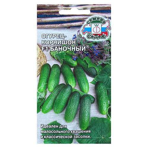 ������ ������ ������ �������� �������� F1 �����   ����