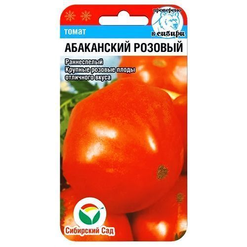 ������ ������ ����� ���������� ������� ��������� ���   ����