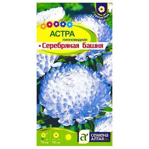 ������ ������ ����� ����������� ���������� ����� ������ �����   ����