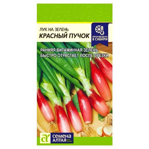 ������ ������ ��� �� ������ ������� ����� ������ �����   ����