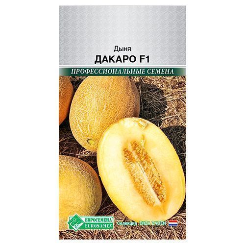 ������ ������ ���� ������ F1 ����������   ����