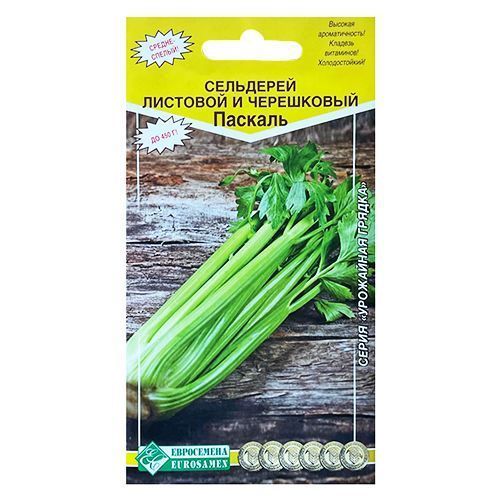 ������ ������ ��������� ���������� ������� ����������   ����