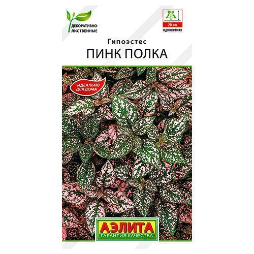 ������ ������ ��������� ���� ����� ������   ����