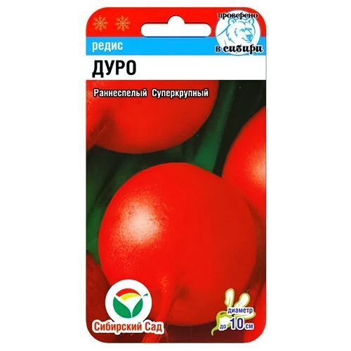 ������ ������ ����� ���� ��������� ���   ����