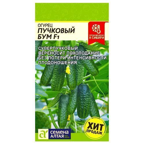 ������ ������ ������ �������� ��� F1 ������ �����   ����