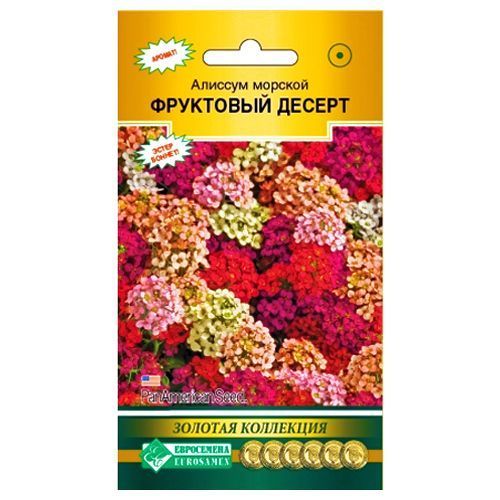 ������ ������ ������� ������� ��������� ������, ����� ������� ����������   ����