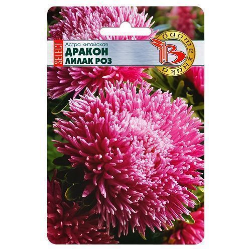 ������ ������ ����� ��������� ������ ������ ����� ���� ����������   ����