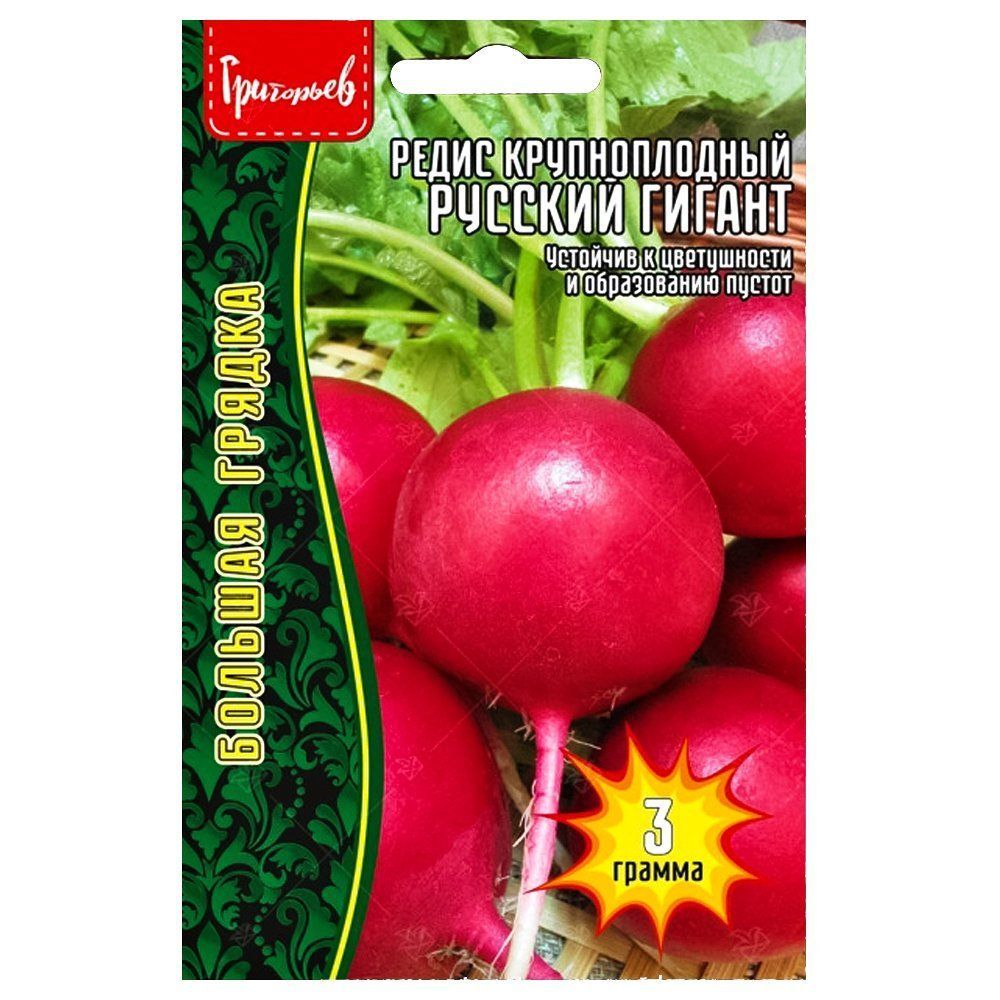 ������ ������ ����� ������� ������ ������ ������   ����