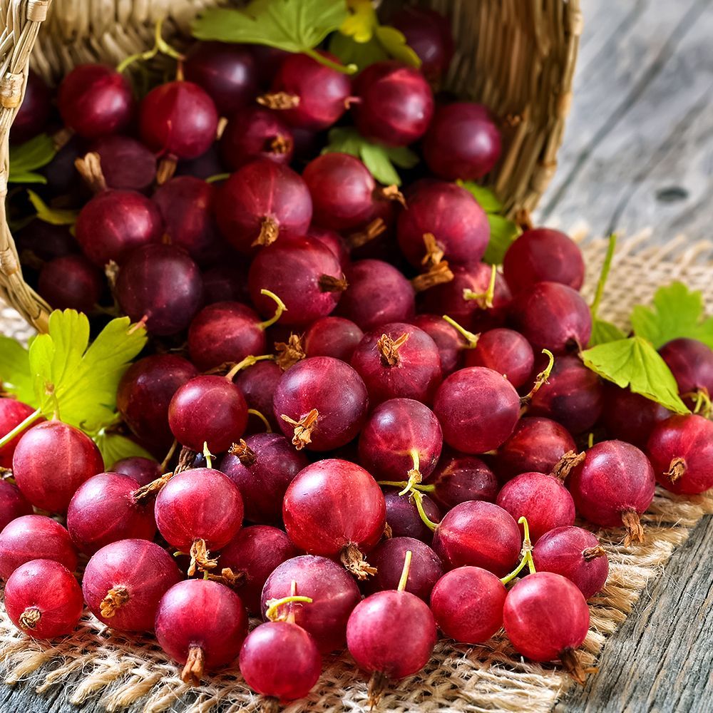 ������ ������ ��������� ���������������� ������   ����