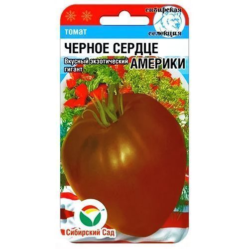 ������ ������ ����� ������ ������ ������� ��������� ���   ����