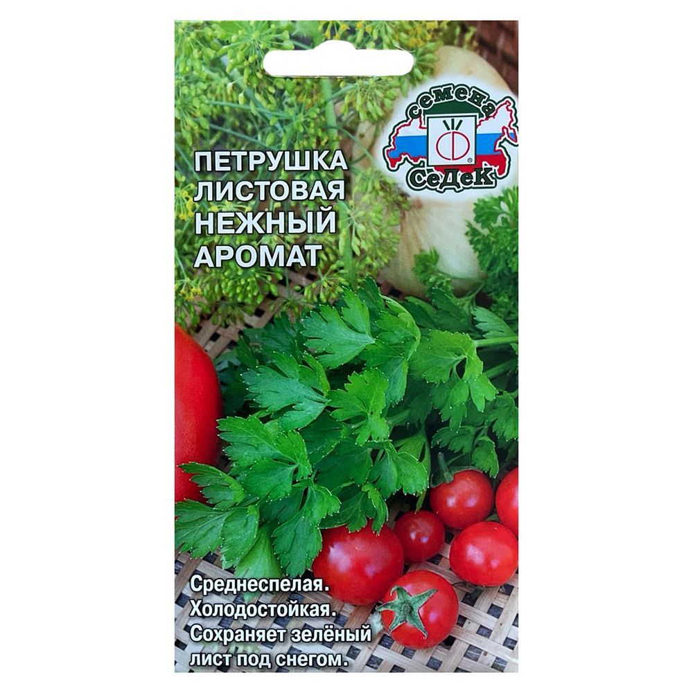 ������ ������ �������� �������� ������ ������ �����   ����