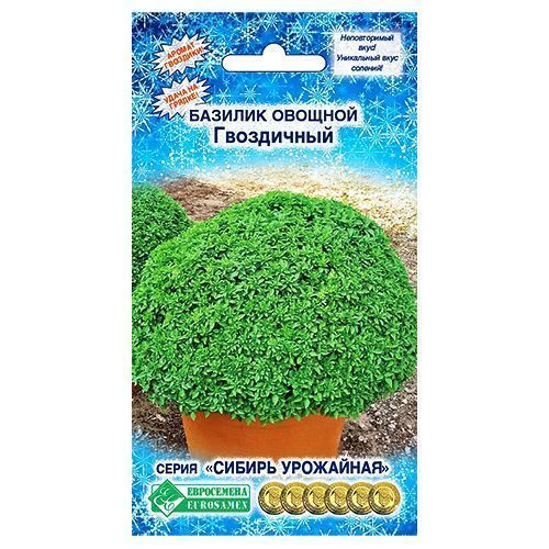 ������ ������ ������� ������� ���������� ����������   ����