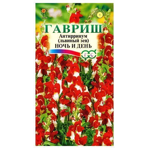 ������ ������ ���������� ���� � ���� ������   ����